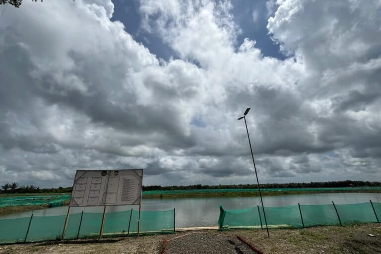 ketika-kawasan-mangrove-terdampak-proyek-tambak-di-nusakambangan