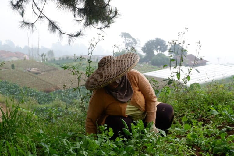 para-perempuan-gunung-gede-pangrango-khawatir-proyek-panas-bumi