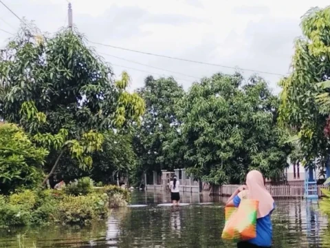 banjir-pati,-kudus,-jepara;-lpbi-pbnu-nilai-akumulasi-krisis-ekologi-jadi-biang-kerok