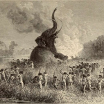 inilah-alasan-mengapa-manusia-memburu-dan-memakan-gajah-di-zaman-purba
