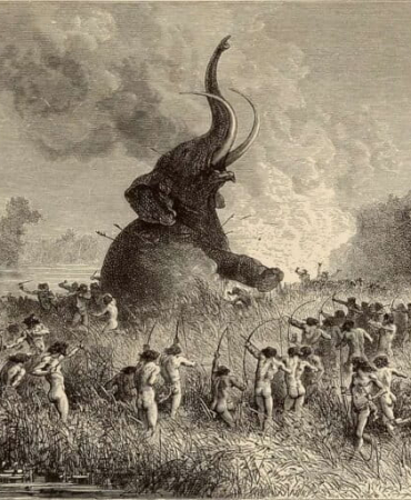 inilah-alasan-mengapa-manusia-memburu-dan-memakan-gajah-di-zaman-purba