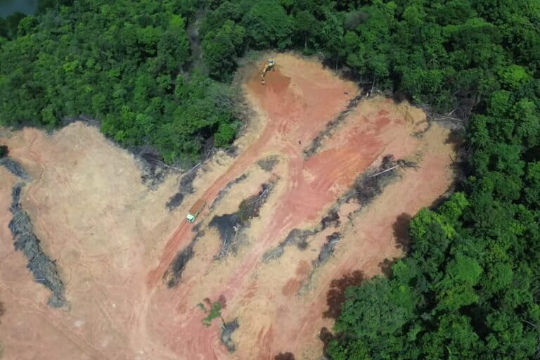 ketika-hutan-lindung-pulau-batam-terus-tergerus