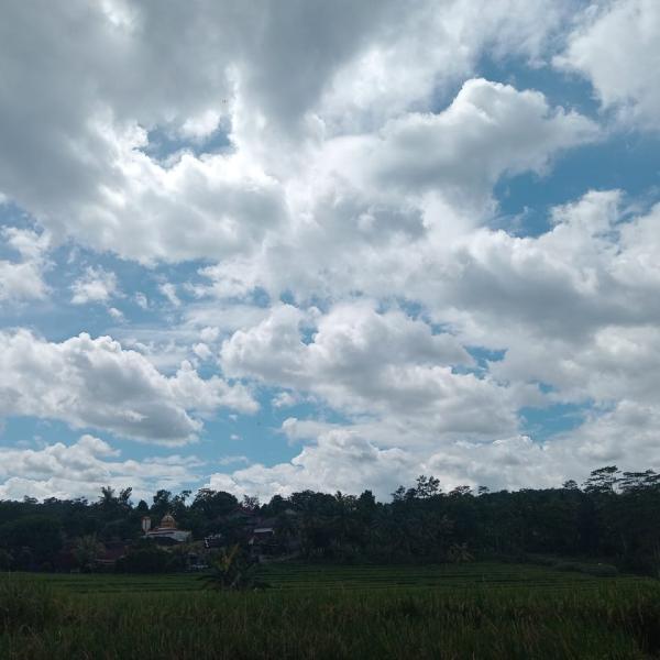 dina-renteng:-pesan-etika-ekologis-islam-jawa-bagi-kebijakan-lingkungan-nasional