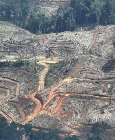 cerita-dari-spesies-terancam-hingga-warga-melawan