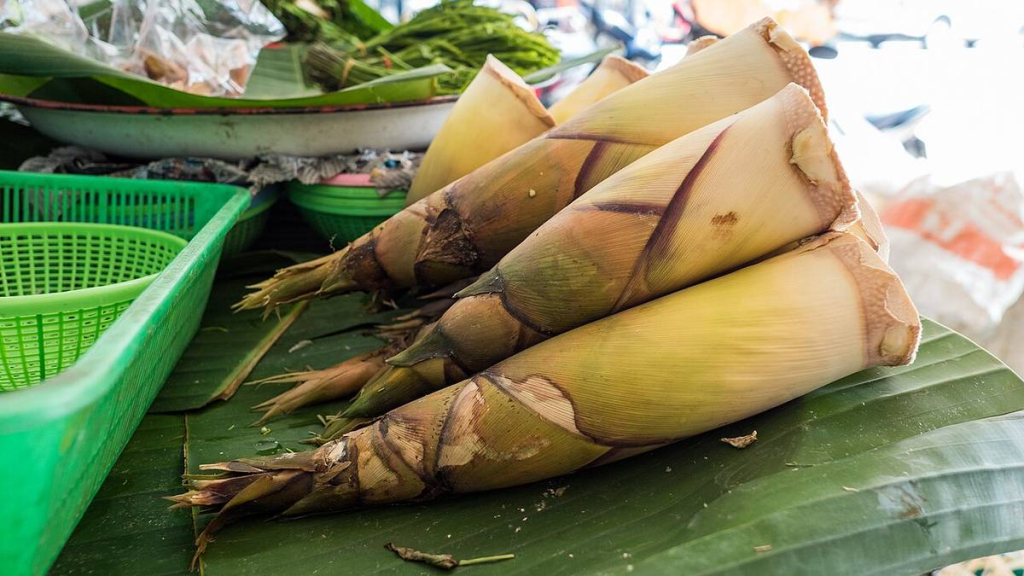 harta-karun-tersembunyi-indonesia,-rebung-kandidat-superfood-masa-depan