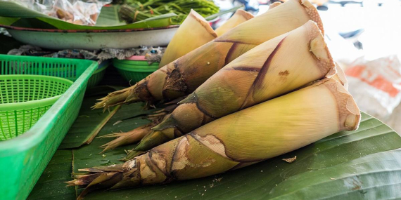 Harta Karun Tersembunyi Indonesia, Rebung Kandidat Superfood Masa Depan