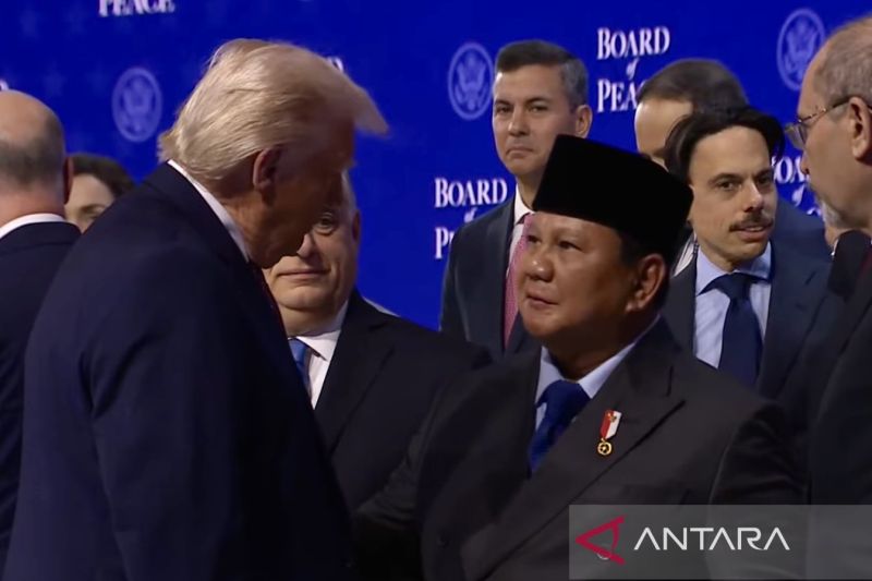 dewan-perdamaian-bantu-ciptakan-jalan-bagi-kemerdekaan-palestina