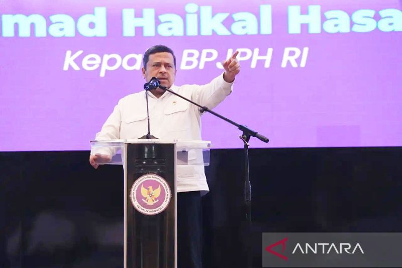 bpjph-sebut-pendampingan-bagi-umk-penting-jelang-wajib-halal-2026