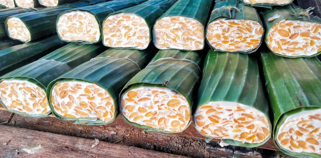 manfaat-tempe-juga-bisa-menyehatkan-tulang:-mengapa-pengakuan-dari-unesco-saja-tidak-cukup?