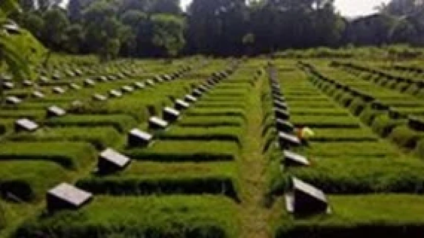 khutbah-jumat:-ziarah-kubur,-tradisi-mulia-menyambut-ramadhan