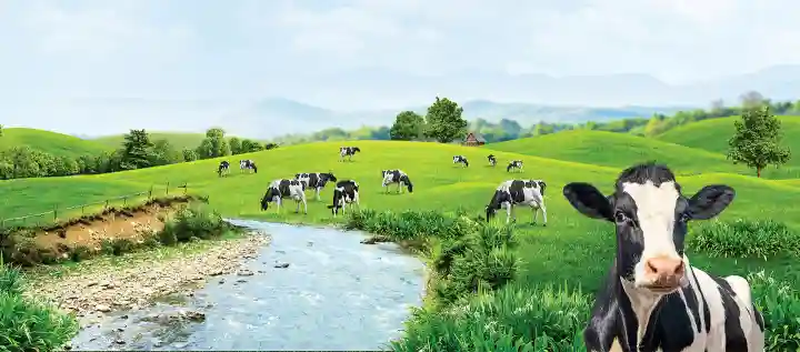 jelang-ramadan,-cmry-terus-naik-ke-puncak:-ini-area-pentingnya