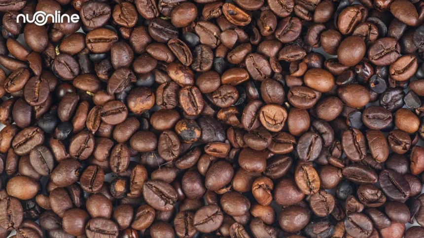 kopi-dalam-khazanah-islam-klasik