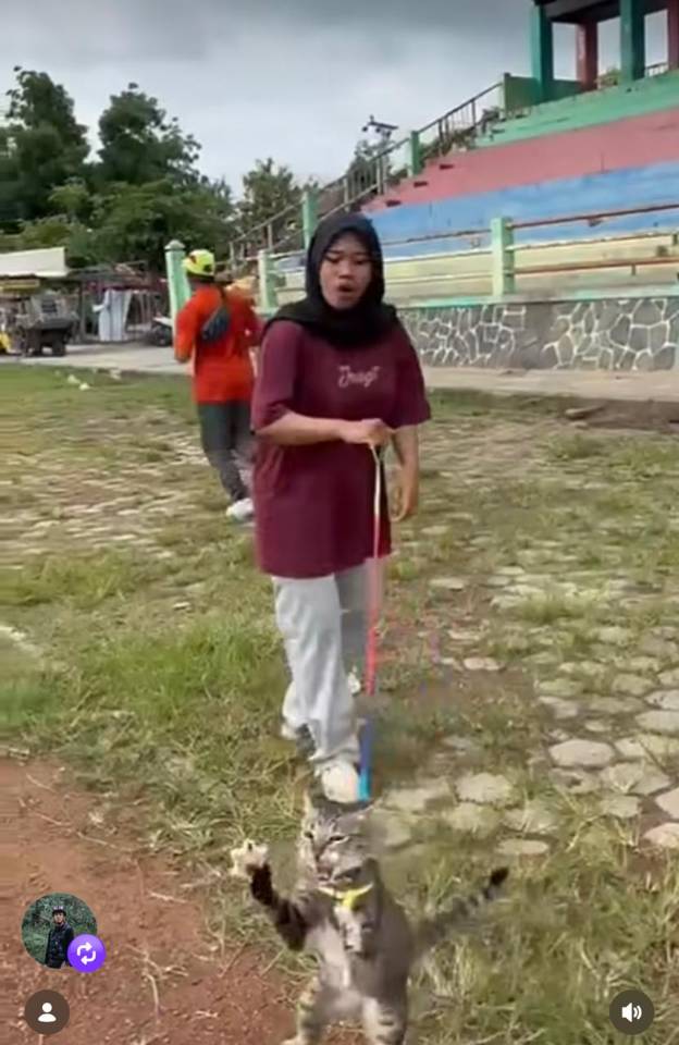 tolak-damai,-pemilik-kucing-ditendang-di-blora-minta-proses-hukum-berjalan