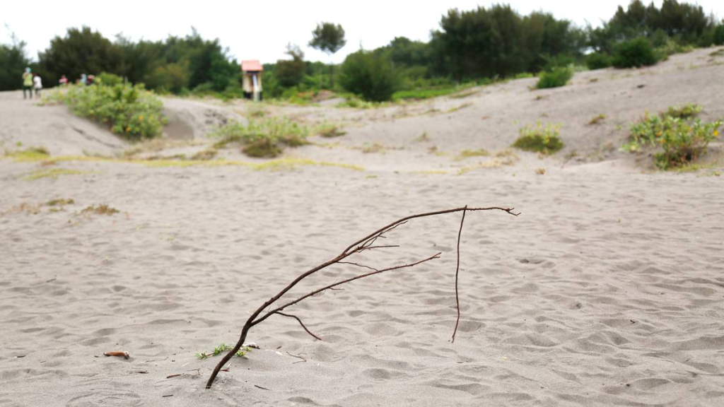geomorfologi-gumuk-pasir-parangkusumo:-fenomena-gurun-di-wilayah-tropis