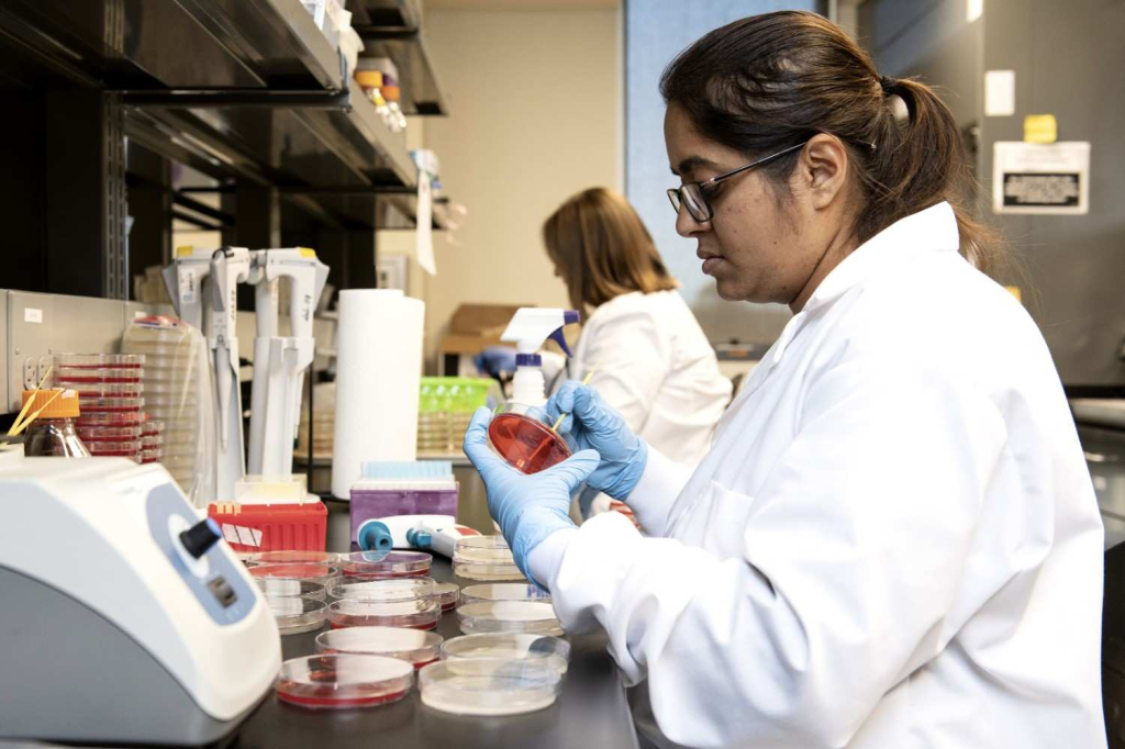 keamanan-pangan-dan-standar-kebersihan-dalam-catering-perusahaan