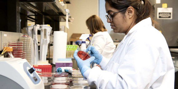 Keamanan Pangan dan Standar Kebersihan dalam Catering Perusahaan