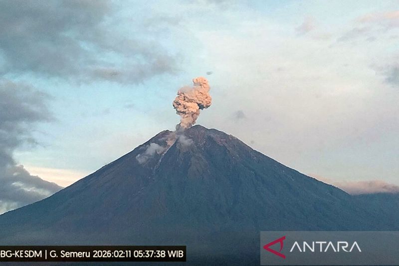 semeru-lima-kali-erupsi,-tinggi-letusan-hingga-1.000-meter
