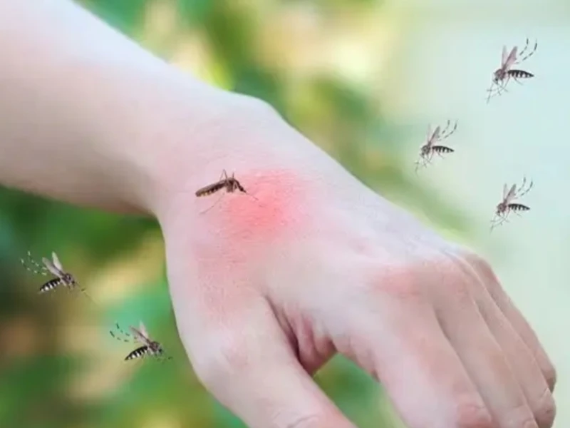 telaah:-kerusakan-hutan-mengubah-perilaku-nyamuk-jadi-gemar-memakan-manusia