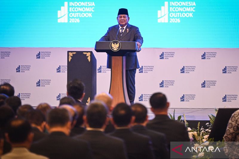 prabowo-targetkan-swasembada-pangan-setelah-berhasil-swasembada-beras