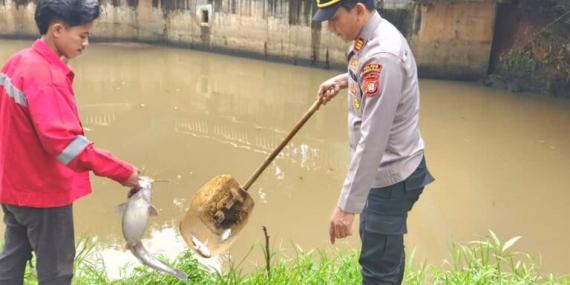 ketika-ikan-sungai-cisadane-mati-usai-gudang-pestisida-terbakar