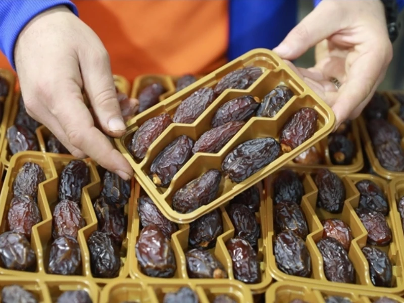 ramadan-dan-perang-dagang-kurma-palestina-vs-kurma-israel