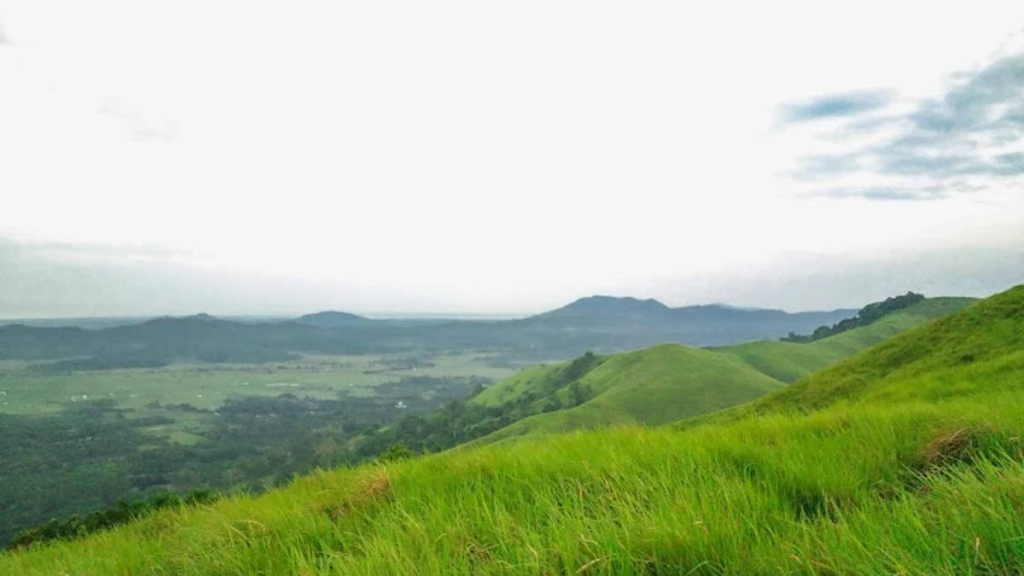 bukit-sapu-angin-tanah-laut,-merasakan-semilir-angin-di-puncak-sabana-yang-lapang