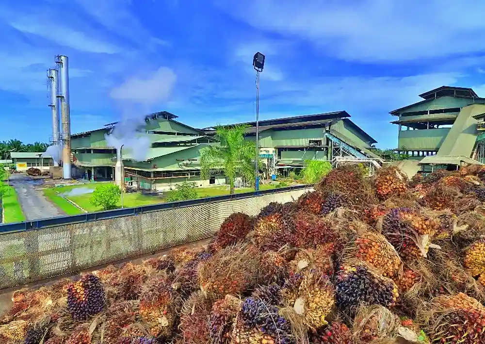 laba-aali-melonjak-29-persen,-eps-tembus-rp764