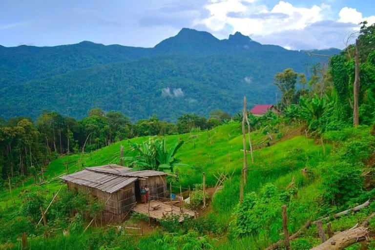 masyarakat-adat-penjaga-hutan-meratus