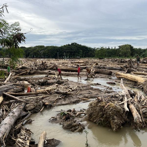 satwa,-si-kompas-alam