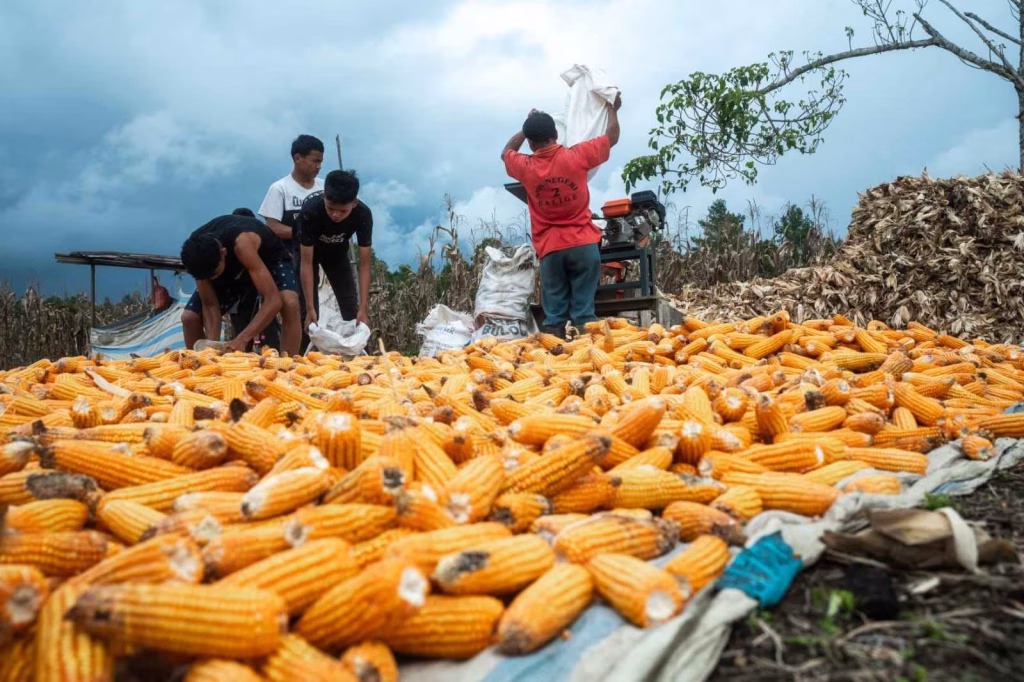natumikka-bangkit-setelah-luka-panjang-konflik-agraria