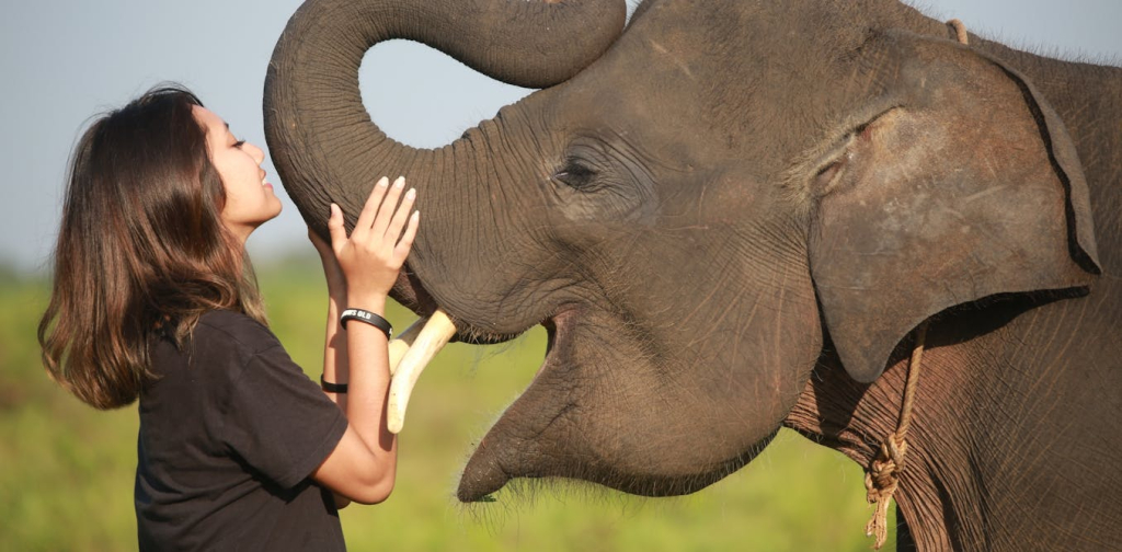 mengapa-konflik-manusia-–-gajah-terus-berulang?-pelajaran-penting-dari-way-kambas