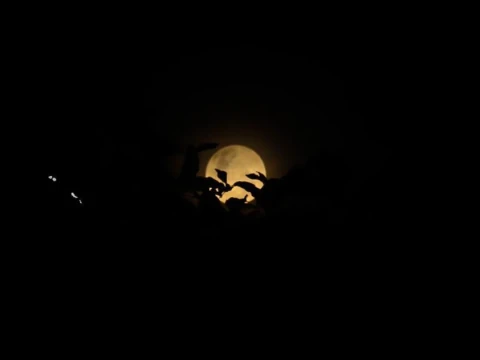 lf-pwnu-aceh:-gerhana-bulan-total-terjadi-3-maret-2026,-bertepatan-14-ramadhan
