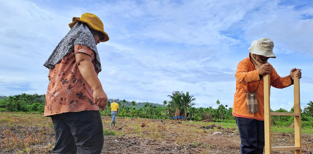 masalah-berlapis-‘food-estate’:-mulai-dari-panen-loyo-hingga-diskriminasi-perempuan
