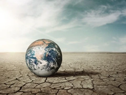 brin-sebut-ekosistem-padang-lamun-terancam,-pesisir-dan-iklim-global-terpapar-risiko