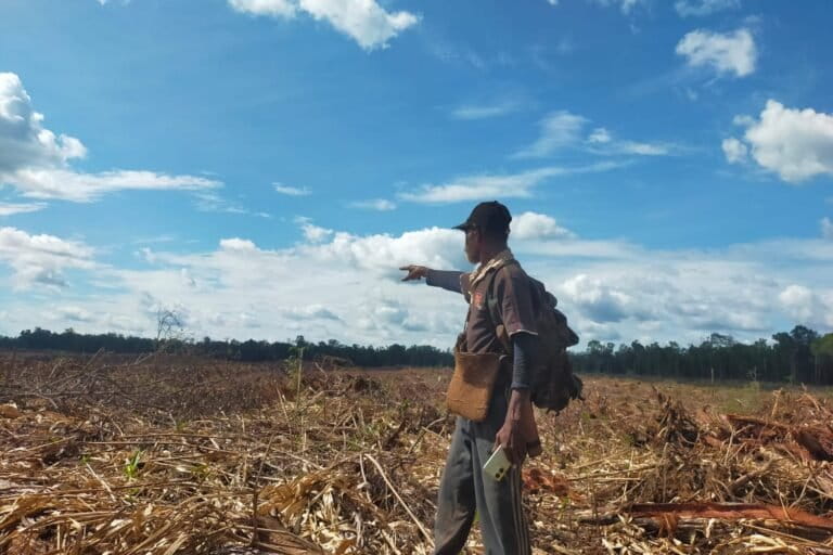 ketika-proyek-pangan-dan-energi-papua-gerus-alam-dan-ham