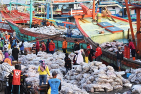 mengurai-benang-kusut-pangan-biru-di-indonesia