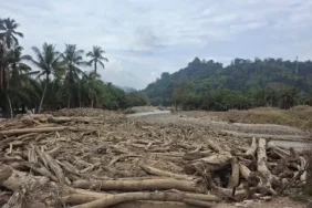 ramadhan-di-desa-garoga:-gelondongan-kayu-masih-selimuti-sungai-di-tengah-pemukiman-yang-hanyut