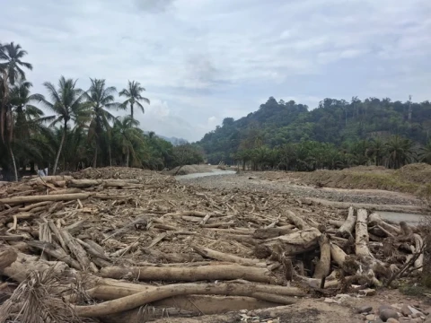 ramadhan-di-desa-garoga:-gelondongan-kayu-masih-selimuti-sungai-di-tengah-pemukiman-yang-hanyut