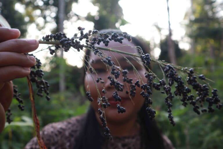 para-perempuan-pelestari-obat-hutan-batin-sembilan