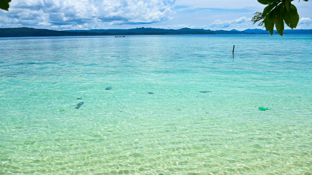 menengok-pulau-kapotar-di-papua-yang-disebut-jadi-jejak-perjalanan-manusia-austronesia