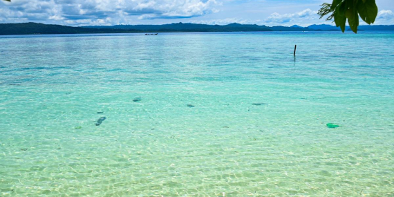 Menengok Pulau Kapotar di Papua yang Disebut Jadi Jejak Perjalanan Manusia Austronesia