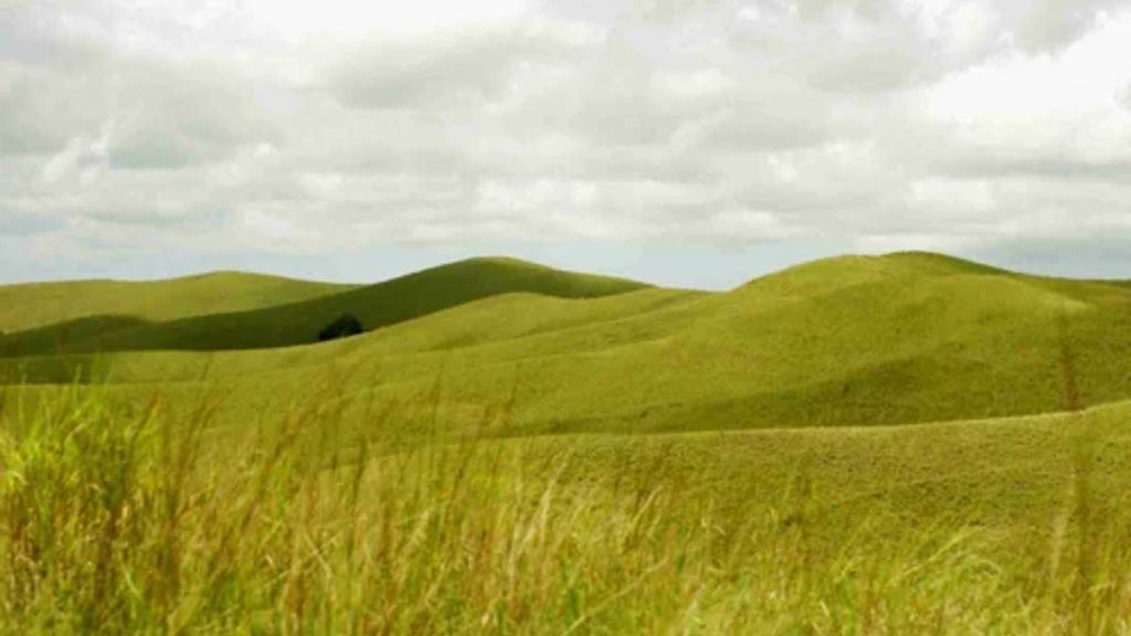 taman-nasional-rawa-aopa-watumohai,-benteng-keanekaragaman-hayati-dengan-empat-ekosistem