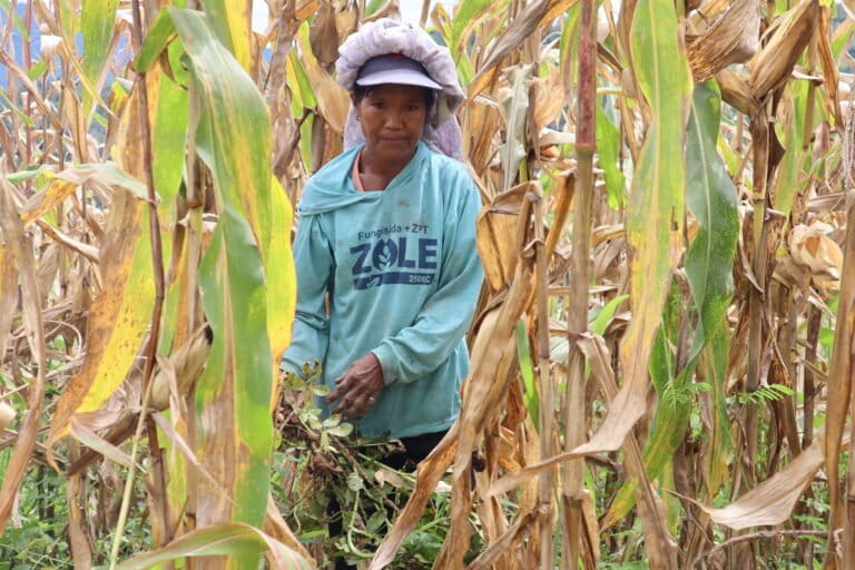 opini:-perjuangan-perempuan-adat-di-tengah-ketidakpastian-hak