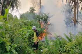 cerita-warga-berjibaku-tangani-karhutla-di-riau-[1]