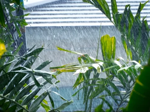 prediksi-bmkg:-12-14-maret-2026-hujan-lebat-dan-angin-kencang-akan-terjadi-di-sejumlah-wilayah