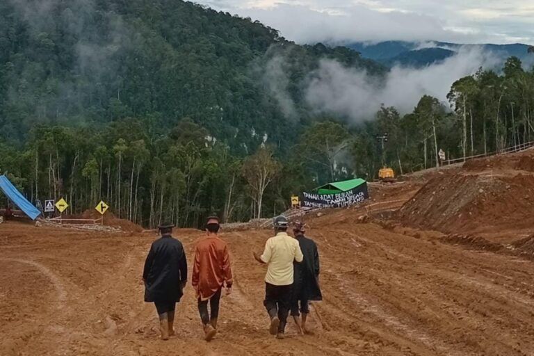 jerat-hukum-karena-jaga-lingkungan-dari-nikel