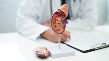 cerita-pasien-pertama-di-dunia-yang-menerima-donor-ginjal-dari-babi-dan-manusia