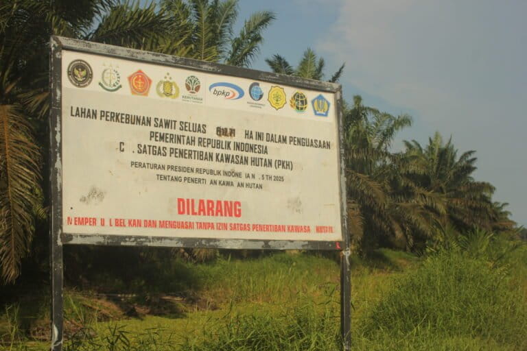 ketika-hak-plasma-dayak-pembuang-makin-tak-jelas-pasca-sita-satgas-pkh