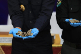 bea-cukai-gagalkan-penyelundupan-tiga-ton-sisik-trenggiling-di-tanjung-priok