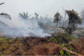bagaimana-seharusnya-atasi-kebakaran-hutan-dan-lahan-di-riau?-[2]